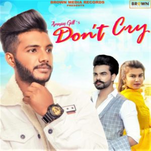 Dont Cry - Arman Gill - Brown Media Records - MusicFry - mp3 download - punjabi song